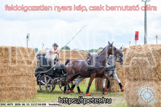 Mintakép 20260613-71