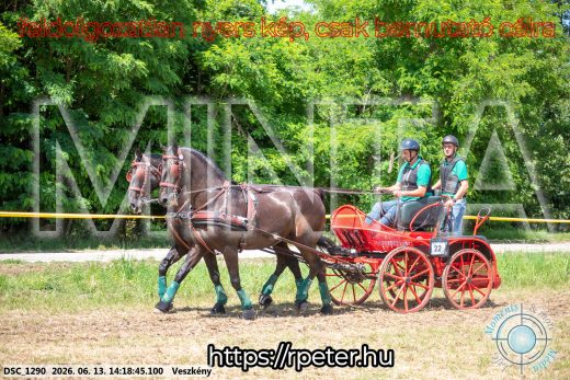 Mintakép 20260613-1320