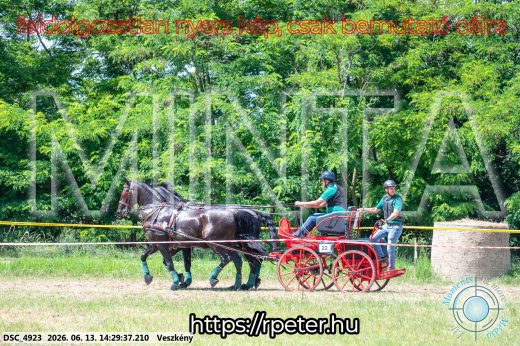Mintakép 20260613-1329