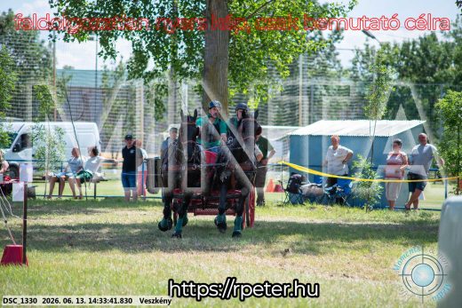 Mintakép 20260613-1335
