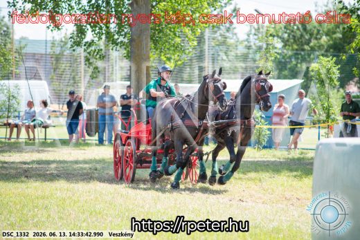 Mintakép 20260613-1337