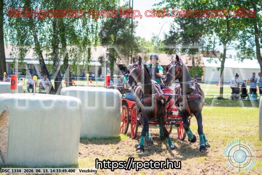 Mintakép 20260613-1339
