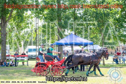 Mintakép 20260613-1342