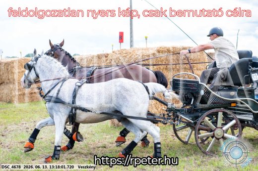 Mintakép 20260613-74