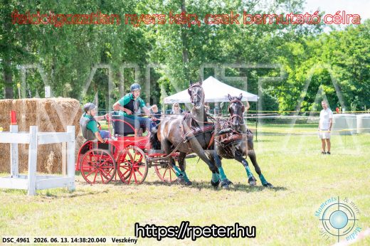 Mintakép 20260613-1348