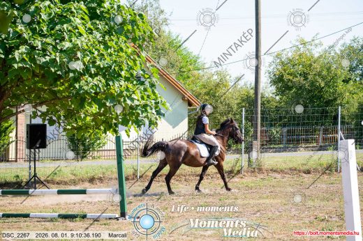 Mintakép 20260801-323