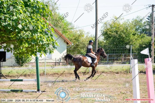 Mintakép 20260801-324