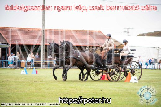 Mintakép 20260614-559