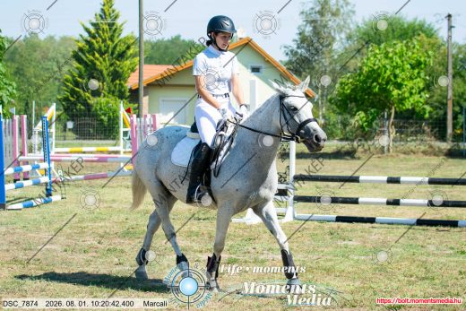 Mintakép 20260801-481