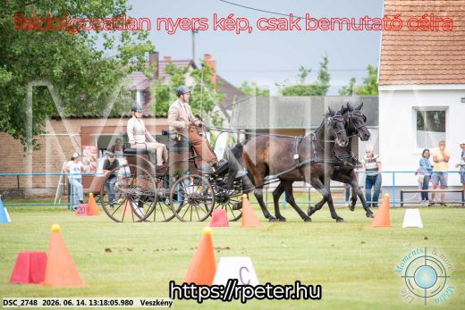 Mintakép 20260614-565