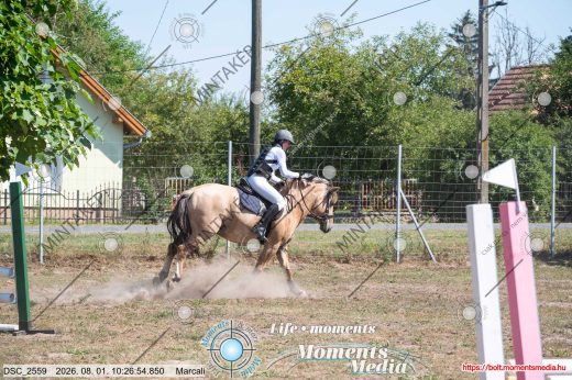 Mintakép 20260801-541