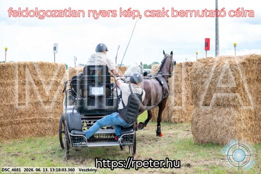 Mintakép 20260613-77
