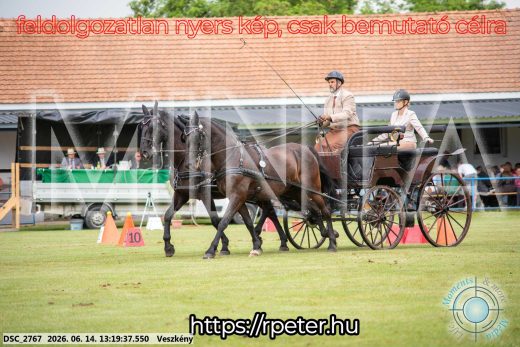 Mintakép 20260614-581