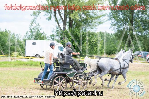 Mintakép 20260613-1367