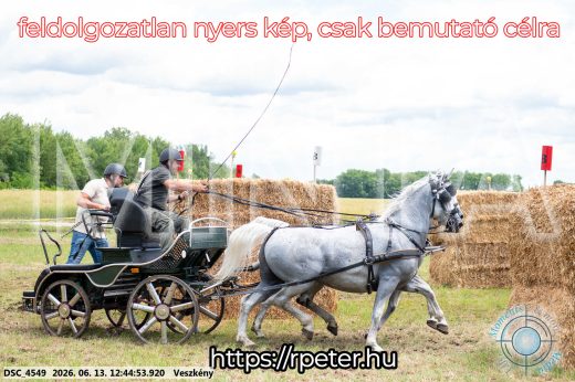 Mintakép 20260613-1372