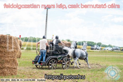 Mintakép 20260613-1374