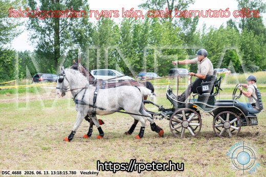 Mintakép 20260613-81