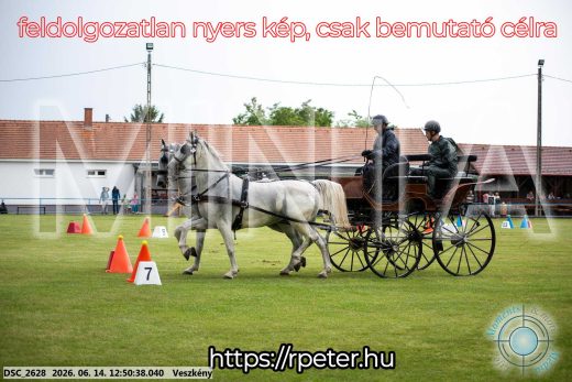 Mintakép 20260614-593