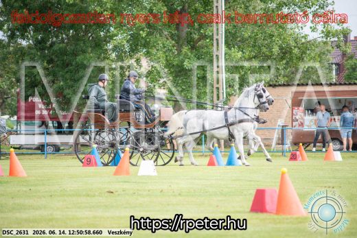 Mintakép 20260614-595