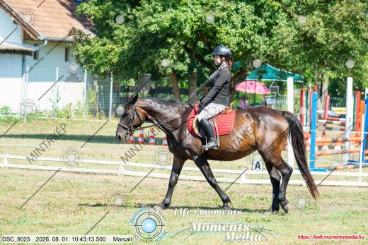 Mintakép 20260801-1100