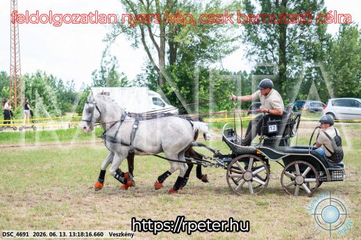 Mintakép 20260613-82