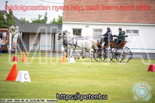 Mintakép 20260614-601