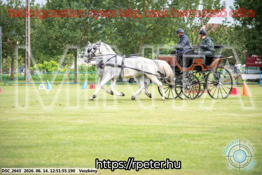 Mintakép 20260614-603