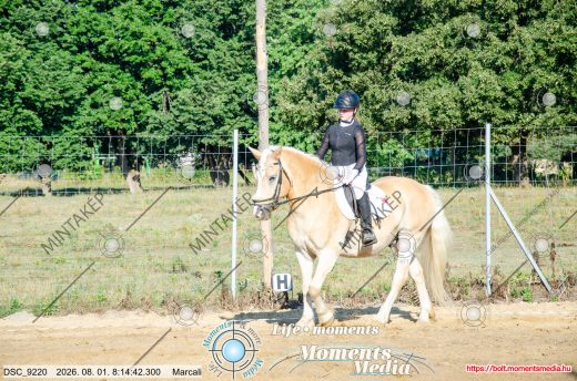 Mintakép 20260801-1153