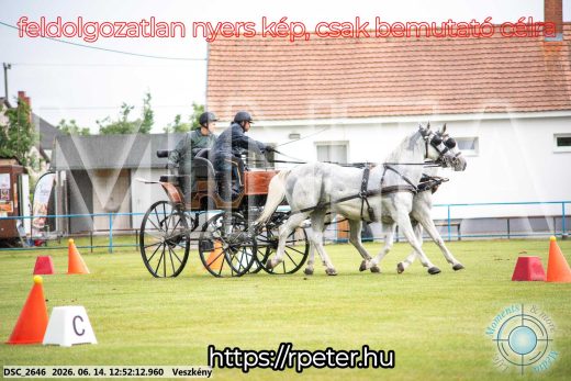 Mintakép 20260614-606