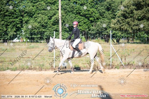 Mintakép 20260801-1164