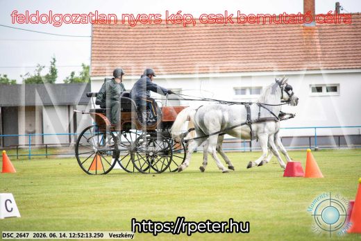 Mintakép 20260614-607