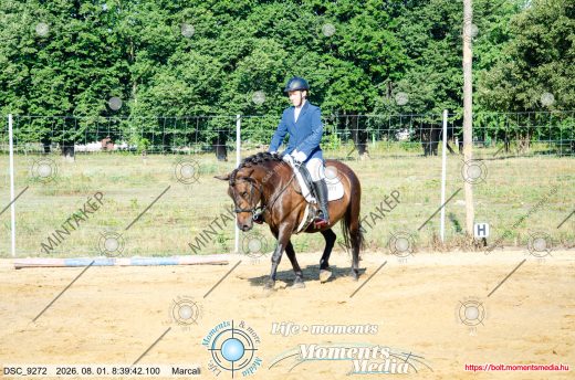 Mintakép 20260801-1207