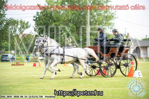 Mintakép 20260614-612