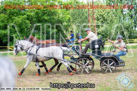Mintakép 20260613-84
