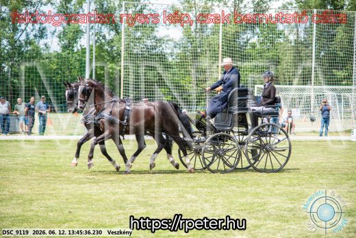 Mintakép 20260612-724