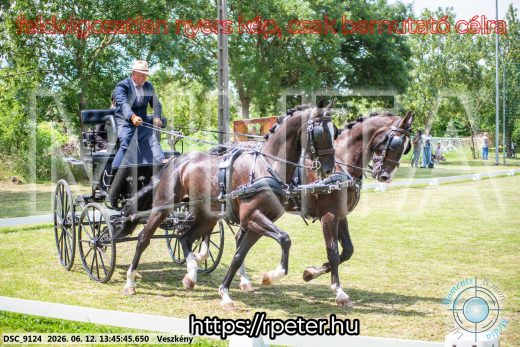 Mintakép 20260612-727