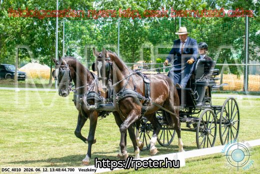 Mintakép 20260612-736