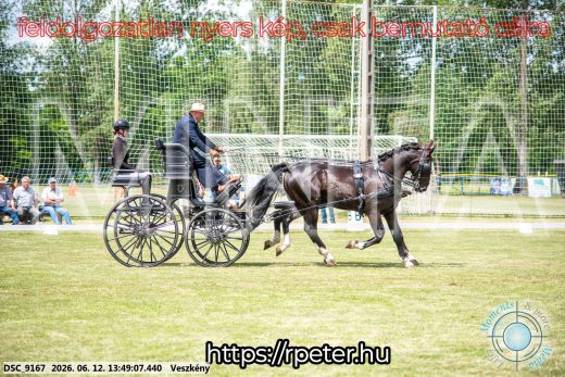 Mintakép 20260612-738