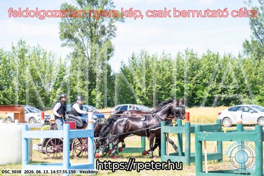 Mintakép 20260613-1384