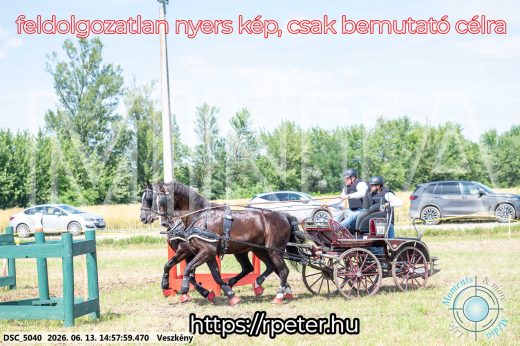 Mintakép 20260613-1386