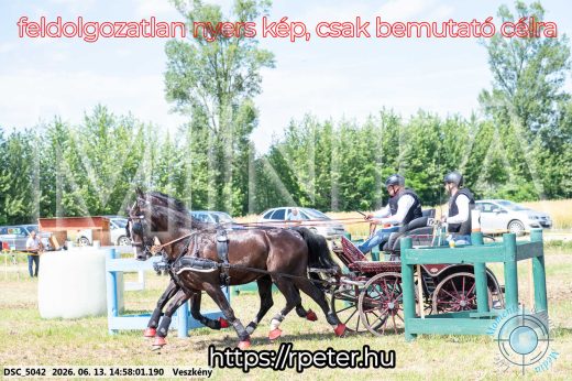 Mintakép 20260613-1388