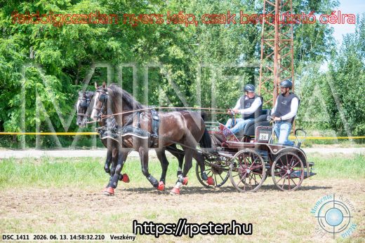 Mintakép 20260613-1393