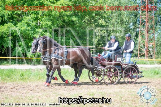 Mintakép 20260613-1394