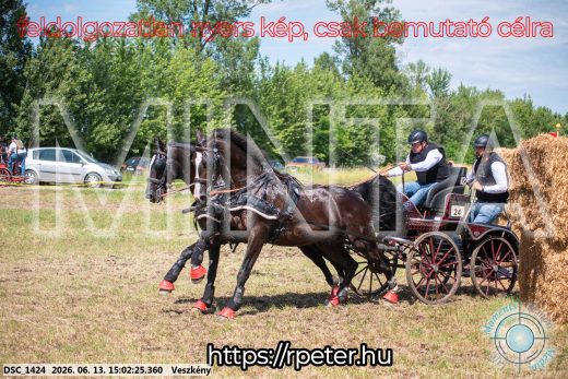 Mintakép 20260613-1395