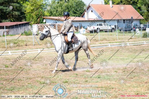 Mintakép 20260801-1649