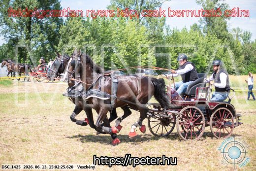 Mintakép 20260613-1396