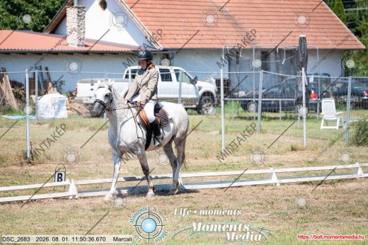 Mintakép 20260801-1660