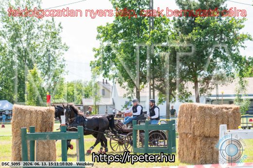 Mintakép 20260613-1398