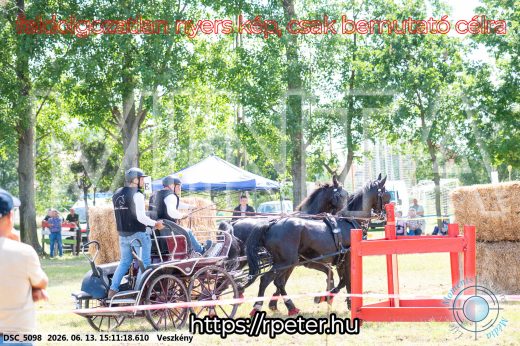 Mintakép 20260613-1401