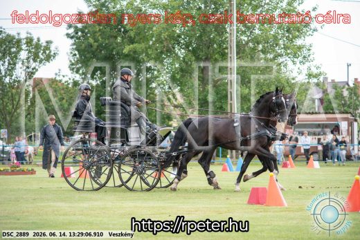 Mintakép 20260614-616